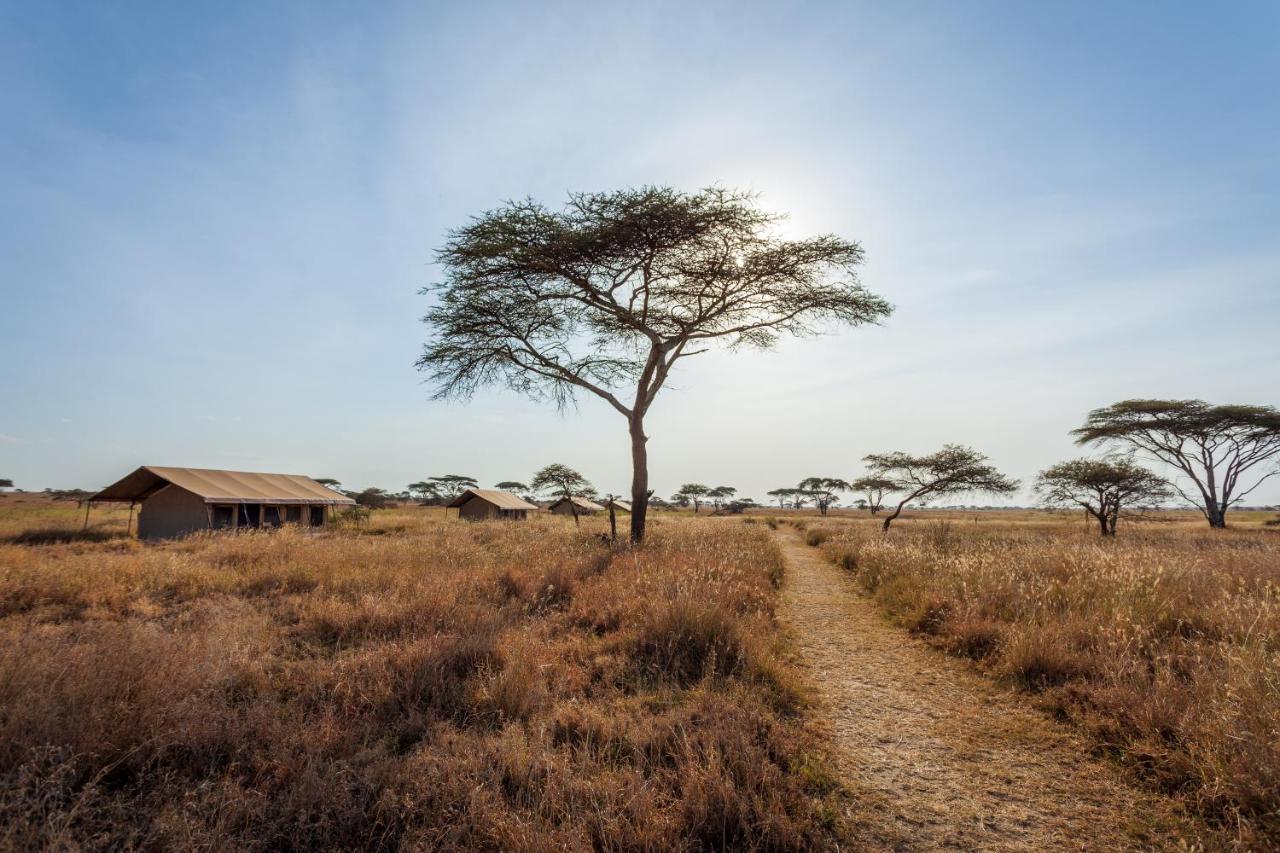 Mawe Tented Camp Serengeti Exteriér fotografie