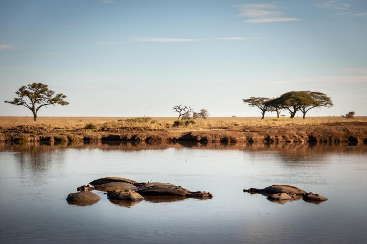 Mawe Tented Camp Serengeti Exteriér fotografie