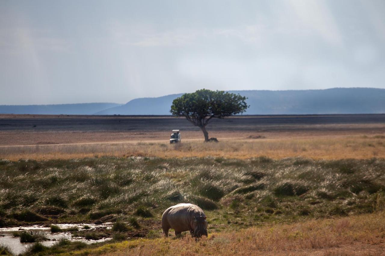 Mawe Tented Camp Serengeti Exteriér fotografie