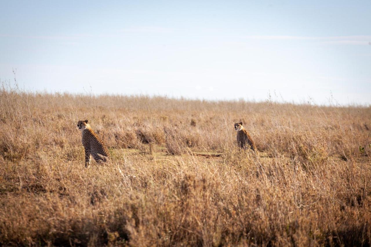 Mawe Tented Camp Serengeti Exteriér fotografie