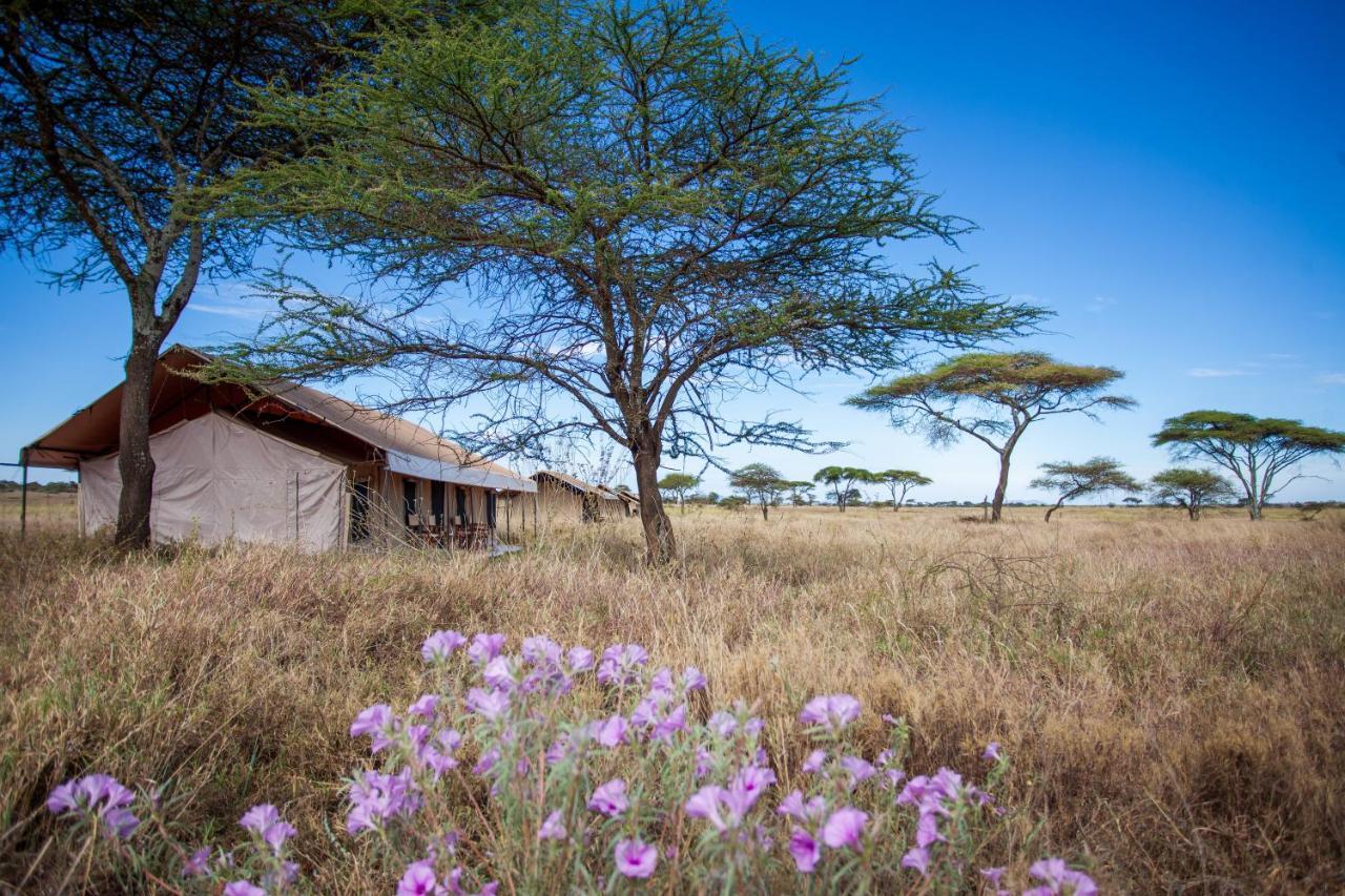Mawe Tented Camp Serengeti Exteriér fotografie