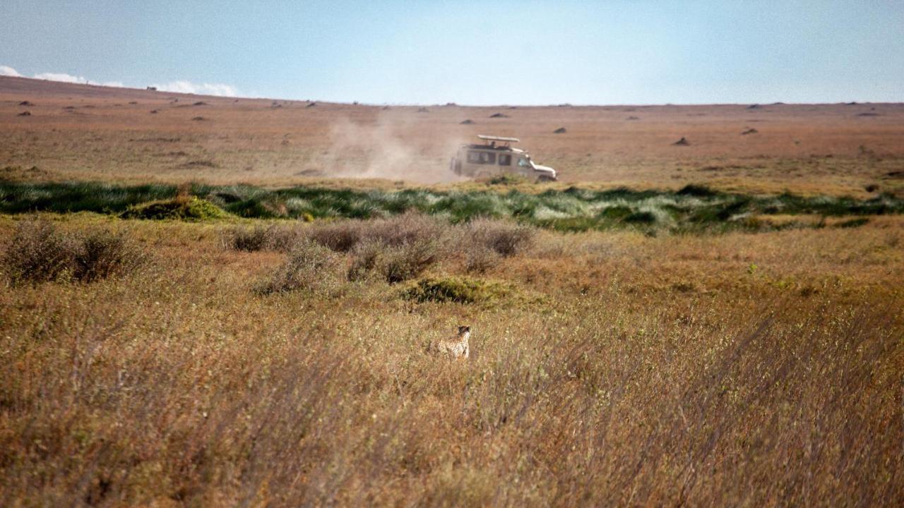 Mawe Tented Camp Serengeti Exteriér fotografie